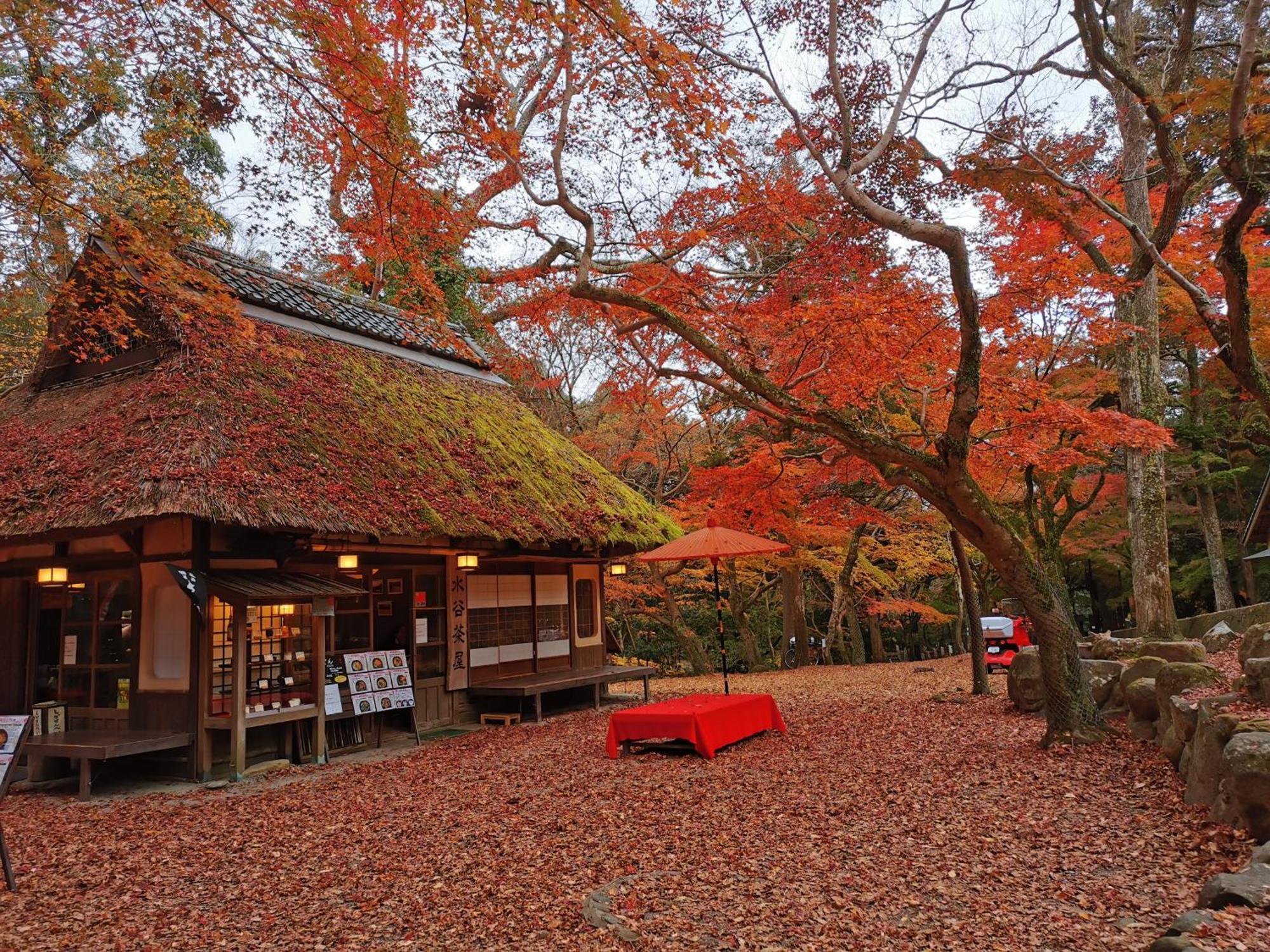 Family Inn Nara Extérieur photo